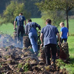 竹材,竹板產(chǎn)品