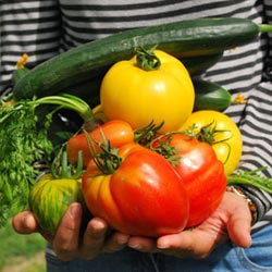 關(guān)于我們桃花江竹材