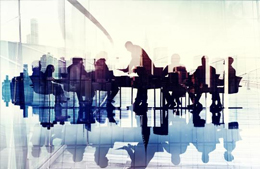 桃花江竹材榮譽(yù)